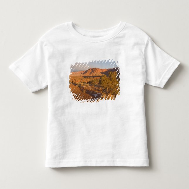 A Utah Juniper Juniperus osteosperma) Baum in 2 Kleinkind T-shirt (Vorderseite)