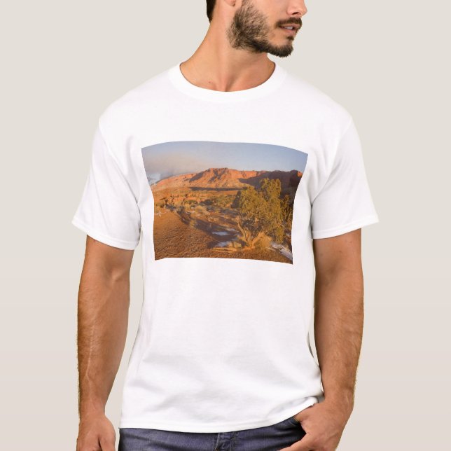 A Utah Juniper Juniperus osteosperma) Baum in 2 T-Shirt (Vorderseite)