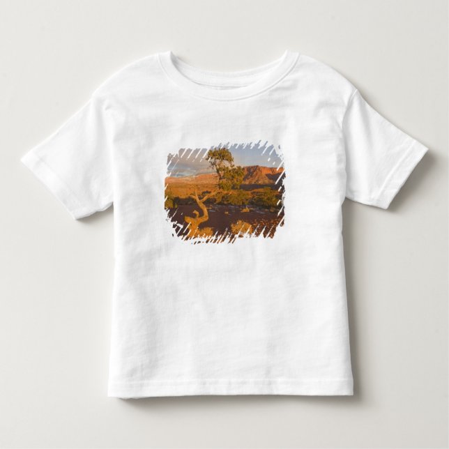 A Utah Juniper Juniperus osteosperma) Kleinkind T-shirt (Vorderseite)