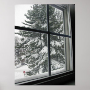 A View from Window of Snow Covered Evergreen Poster