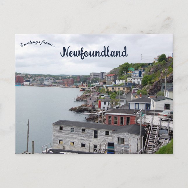 A View of St. John's Newfoundland Canada Postkarte (Vorderseite)