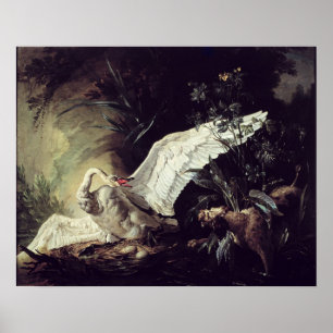 A Water Spaniel Poster