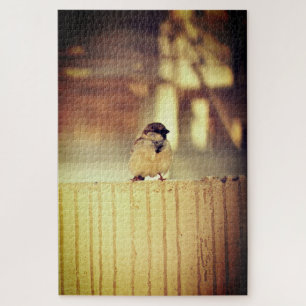 A Wee Sparrow Puzzle