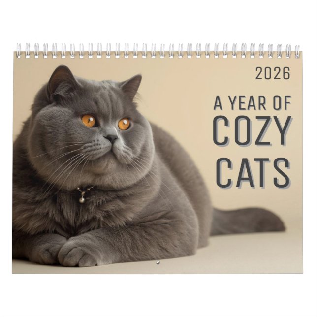 A Year of Cozy Cats Calendar Kalender (Titelbild)