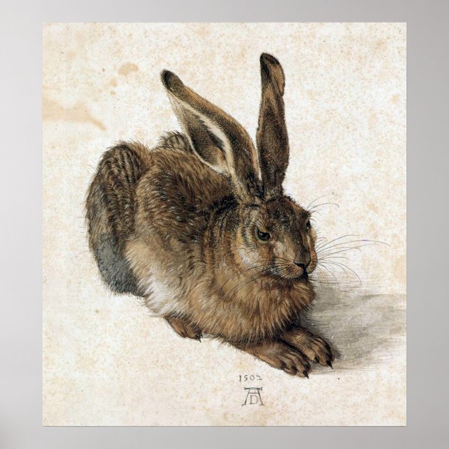 A Young Hare - Albrecht Durer - c1502 Poster (Vorne)