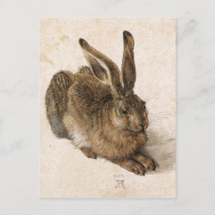 A Young Hare by Albrecht Durer Postkarte