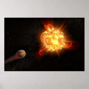 A Young Red Zwarf Poster