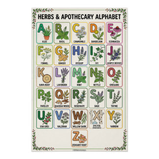 A - Z Kräuter & Apotheke Alphabet Poster