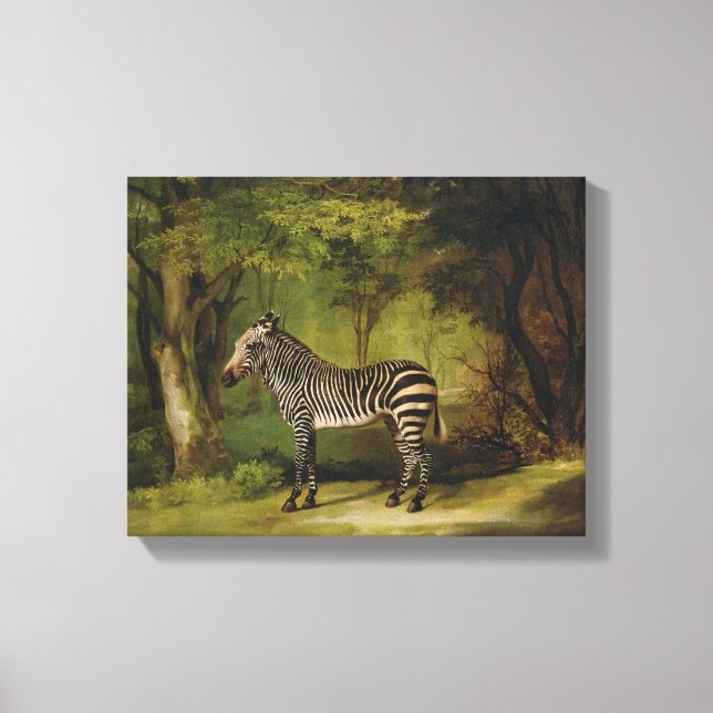A Zebra, 1763 (Öl auf Leinwand) Leinwanddruck (Vorderseite)