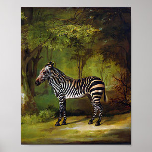 A Zebra von George Stubbs Poster