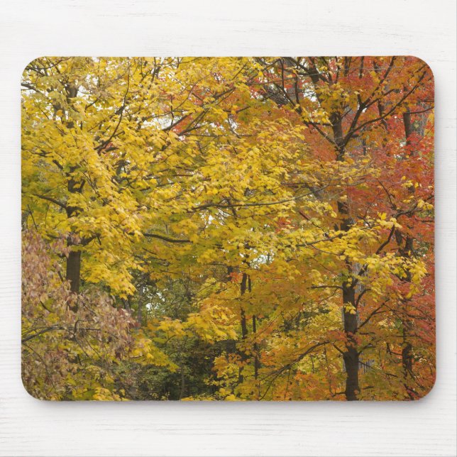 aaaa mousepad (Vorne)