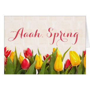 Aaah Spring Colorful Tulip Line