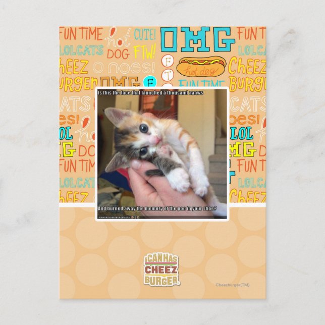 Aaaws Postkarte (Vorderseite)