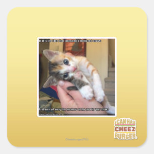 Aaaws Quadratischer Aufkleber