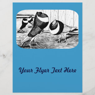 Aachen Band Cropper Tauben Flyer