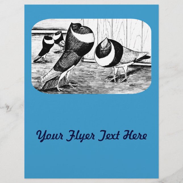 Aachen Band Cropper Tauben Flyer (Vorne)