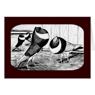 Aachen Band Croppers