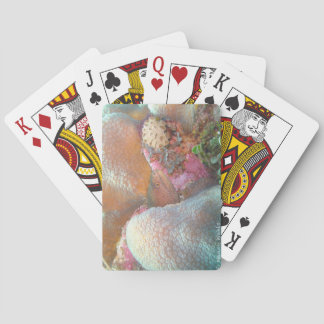 Aal-Poker-Karten Spielkarten
