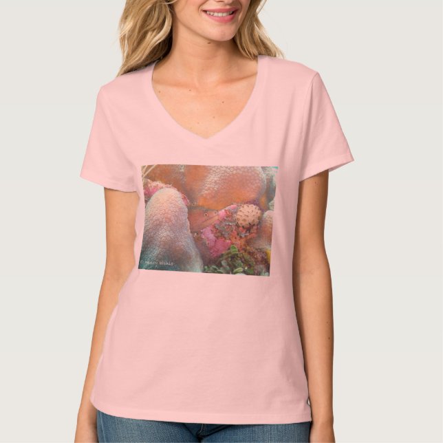 Aal-T-Shirt T-Shirt (Vorderseite)