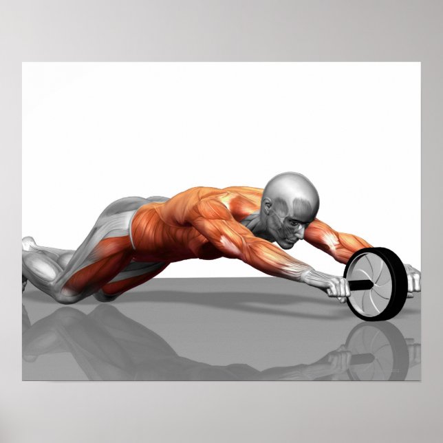 Ab Wheel Poster (Vorne)