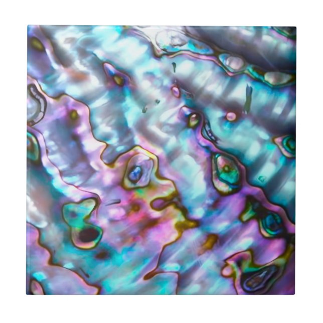 Abalone-Keramikfliese Fliese (Vorderseite)