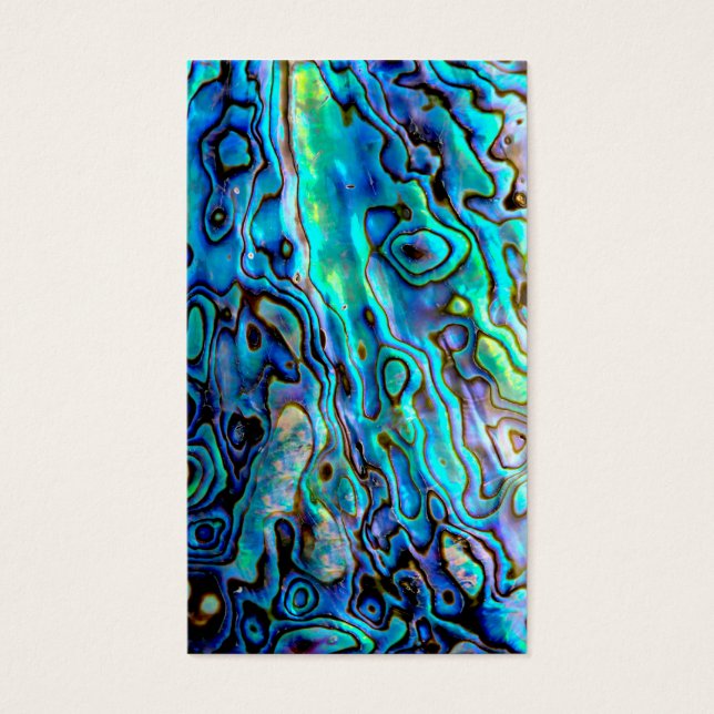 Abalone-Muschel (Vorderseite)