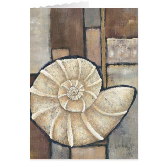 Abalone-Muschel (Vorne)