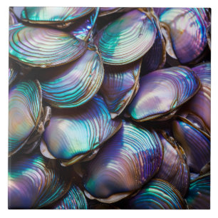 Abalone-Muschel Abstraktes Muster Fliese