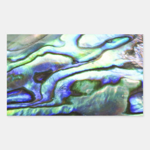 Abalone Muschel green paua Rechteckiger Aufkleber