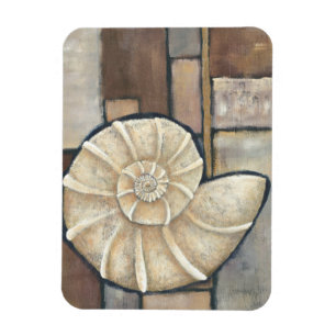 Abalone-Muschel Magnet