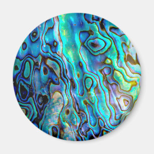 Abalone-Muschel Magnet