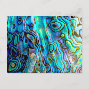 Abalone-Muschel Postkarte