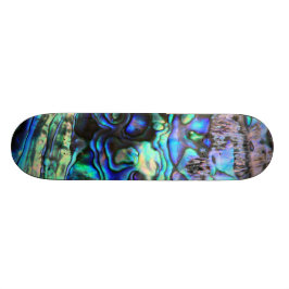 Abalone Muschel schöne pauscha Detail Skateboard