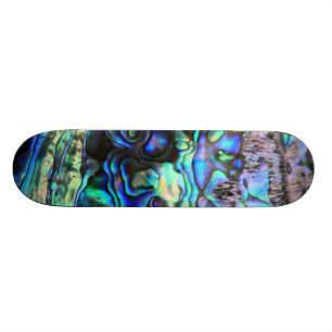 Abalone Muschel schöne pauscha Detail Skateboard