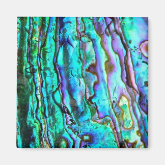 Abalone paua Muschel Bildquadrat Magnet