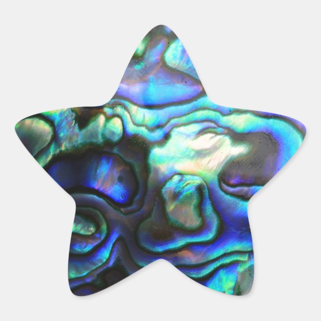 Abalone paua Muschel Stern-Aufkleber (Vorderseite)
