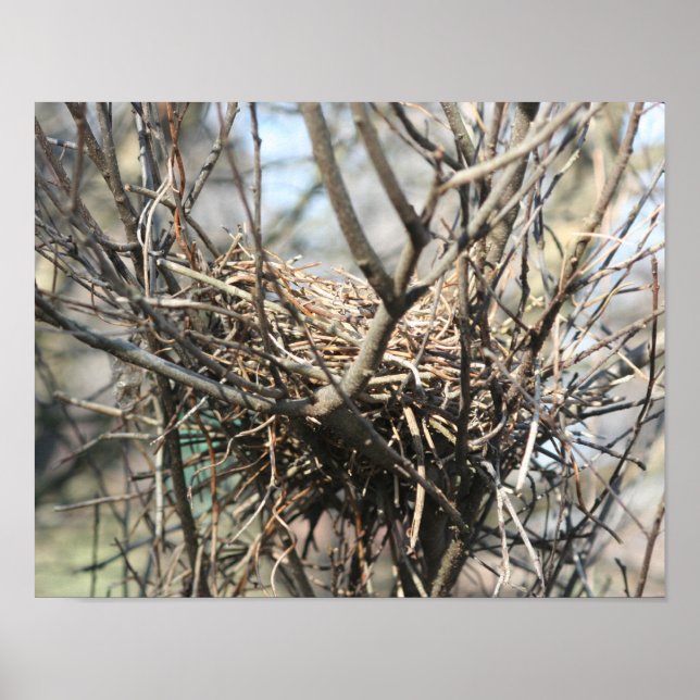 Abandoned Bird Nest Poster (Vorne)