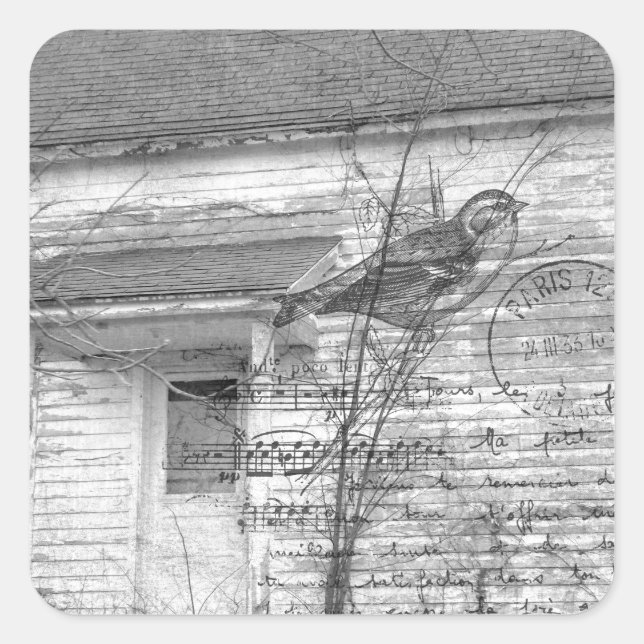 Abandoned House Bird Music Edit Quadratischer Aufkleber (Vorderseite)