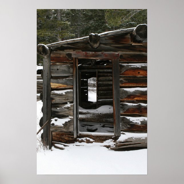 Abandoned Log Cabin Colorado Poster (Vorne)