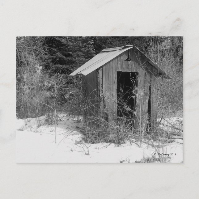 Abandoned Outhouse (B&W) Postcard Postkarte (Vorderseite)
