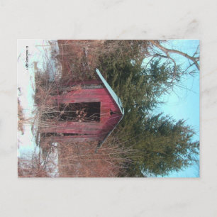 Abandoned Outhouse Postcard Postkarte