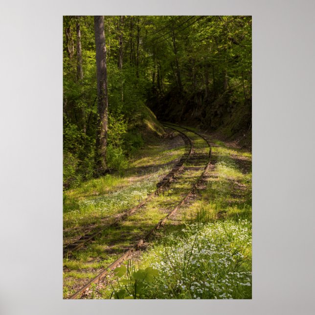 Abandoned Railroad In A Forest Poster (Vorne)