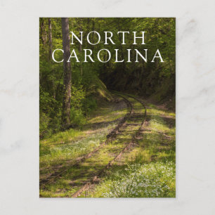 Abandoned Railroad In A Forest Postkarte