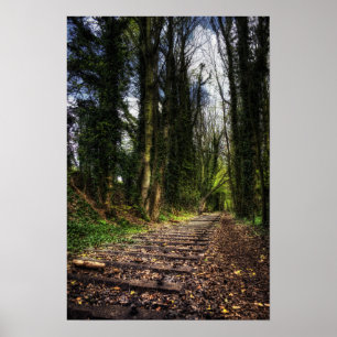 Abandoned Railway Tracks HDR. Poster