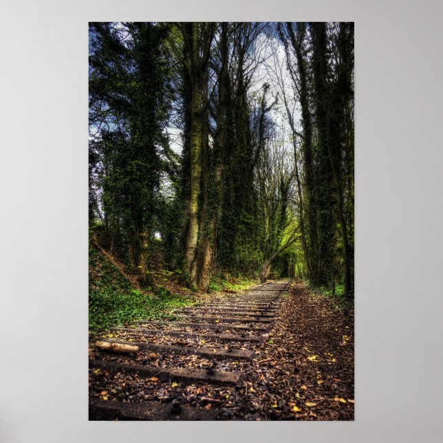 Abandoned Railway Tracks HDR. Poster (Vorne)