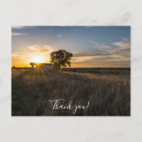 Abandoned Shed Colorado Sunset Danke Postcard