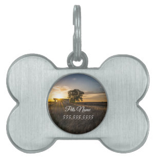 Abandoned Shed Colorado Sunset Pet Tag Tiermarke