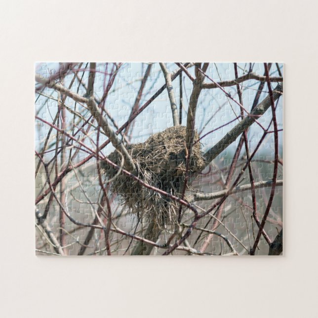 Abandoned Spring Bird Nest Nature Puzzle (Horizontal)
