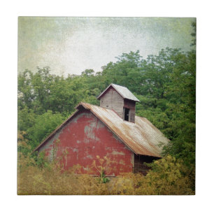 Abandoniert und überwuchert fliese