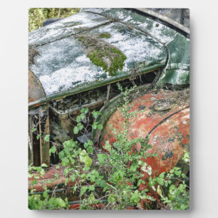 Abandred Vintag Lkw Fotoplatte